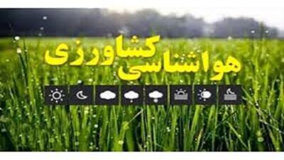  ضرورت تسریع کشت گندم دیم در مناطق سردسیر