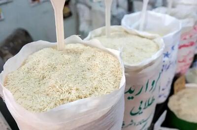  قیمت برنج افسار پاره کرد؛ بازار در شوک گرانی ناگهانی