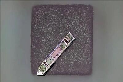  وقتی یک دانه نمک به مغز انسان نفوذ می‌کند!