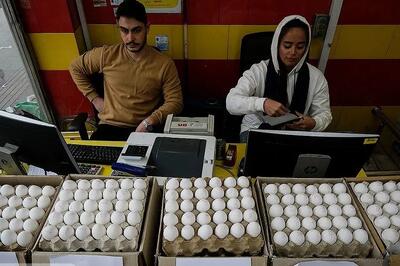 قیمت جدید هر شانه تخم‌مرغ در بازار