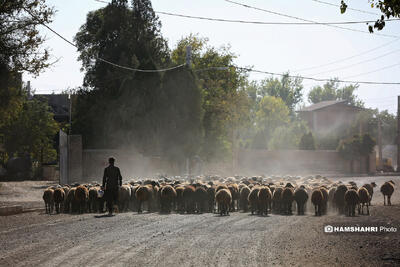  تصاویر روستای زرگر؛روستای اروپایی قزوین