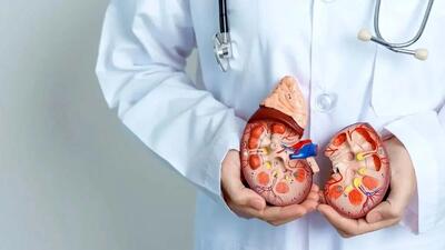  سه بیماری خاص و خطرناک که کلیه‌ ها را از کار می‌اندازد