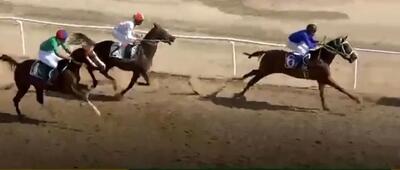  درخشش سوارکاران هرمزگانی در هفته هفتم مسابقات اسب‌دوانی