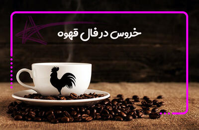  معنی خروس در فال قهوه