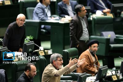  تذکر تند کوچک‌زاده به نحوه اداره مجلس/ حاجی بابایی: تا ظهر هم داد بزنید عصبانی نمی‌شوم