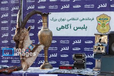  دستگیری ۲۳۳ سارق و مالخر