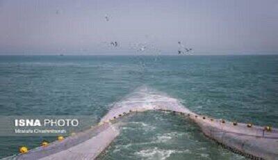  اختصاص ۴۱ درصد صید آب‌های جنوب کشور به سیستان و بلوچستان