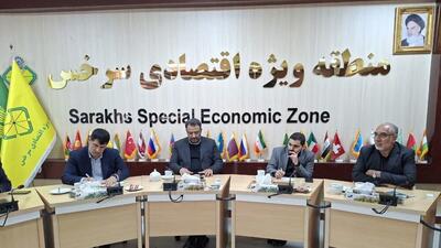  منطقه آزاد سرخس قابلیت تبدیل شدن به الگوی حکمرانی جدید و پایلوت اقتصادی کشور را دارد