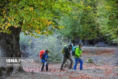  دانش‌آموخته دکترای محیط زیست: کوهنوردان در خط مقدم حفاظت از زیست‌بوم‌های مرتفع باشند