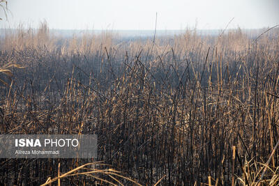  تغییر ساعت فعالیت مدارس و ادارات خوزستان تا پایان آبان بررسی می‌شود
