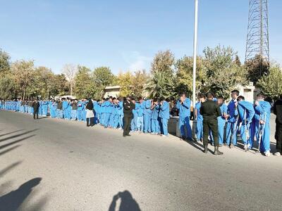  ۲۳۳ سارق در طرح ضربتی پلیس آگاهی تهران بازداشت شدند