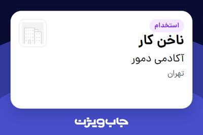  استخدام ناخن کار - خانم در آکادمی دمور
