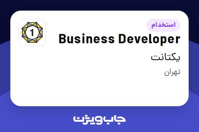  استخدام Business Developer در یکتانت
