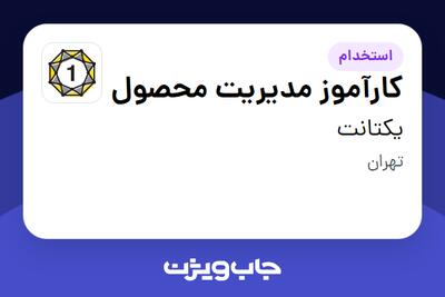  استخدام کارآموز مدیریت محصول در یکتانت