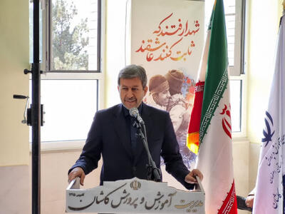  جمالی‌نژاد: حفظ معماری اصیل، مسیر کاشان به ثبت جهانی است