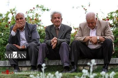  لزوم تدوین برنامه‌های جامع برای ارتقای کیفیت زندگی سالمندان در تهران