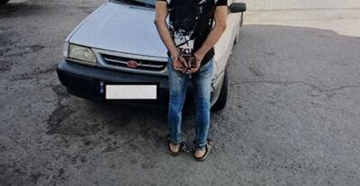  کاهش احتمال سرقت خودرو با استفاده همزمان از چند ابزار حفاظتی - پارس فوتبال