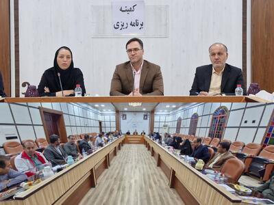  فرماندار تنگستان: روند اجرای پروژه‌های شهرستان مطلوب است - پارس فوتبال