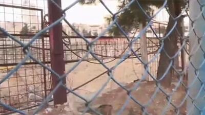  مولدسازی دارایی‌های دولت؛ پر سروصدا، اما کم اثر