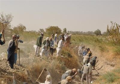  همدلی کشاورزان در زادگاه خورشید ایران/ احیای سنت «حشر و مدد» در سراوان - تسنیم
