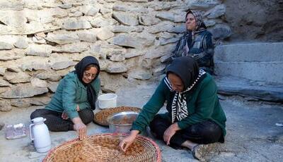  چه کسانی می‌توانند در صندوق بیمه اجتماعی روستاییان خود را بیمه کنند؟