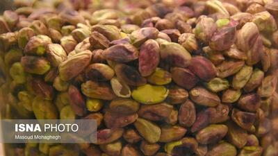  تأثیر مصرف پسته در شب بر میکروبیوم روده در مبتلایان پیش‌دیابت