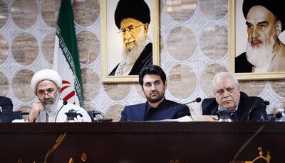  پژمان‌فر: هیأت‌های حل اختلاف مالیاتی تخصصی شوند