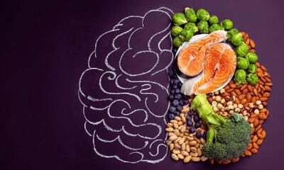  با مواد غذایی مفید برای تقویت حافظه و تمرکز آشنا شوید