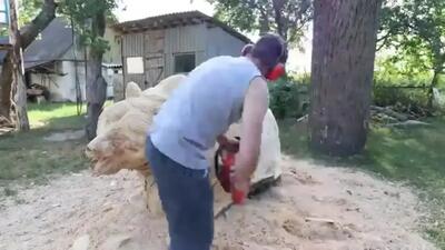  مراحل دیدنی ساخت مجسمه خرس گریزلی چوبی در اندازه واقعی با اره برقی (فیلم)