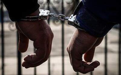  دستگیری دو تبعه خارجی غیرمجاز در اردبیل / ادامه طرح برخورد با اتباع غیرقانونی