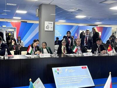  حضور معاون وزیر ورزش در نخستین نشست وزرای ورزش و مقامات ارشد ورزشی کشور‌های عضو ACD