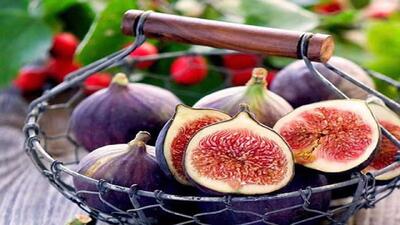  خواص، مضرات و طبع میوه انجیر از دیدگاه طب سنتی