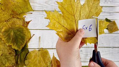  خلاقیت با برگ های پاییزی فوق العاده زیبا / دوخت یک وسیله شیک از مواد طبیعی!