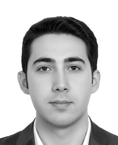  منافع عمومی و انگیزه‌های فردی
