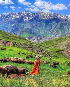  عکس/ طبیعت بکر و زیبای روستای تاریخی پیچ بن قزوین | اقتصاد24