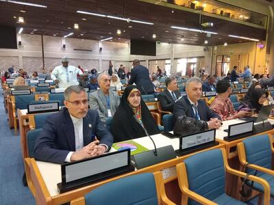  حضور نمایندگان مجلس ایران در نشست پروتکل مونترال در نایروبی