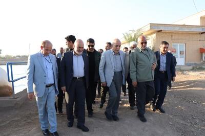  نماینده رئیس‌جمهور:توسعه آبزی‌پروری باید مبتنی بر مطالعات علمی باشد/هدف‌گذاری برای تأمین ۳۵ درصد پروتئین مصرفی کشور از آبزیان