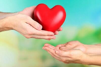  راز «رضایت از زندگی زناشویی» در نگاه زوج‌های خوشبخت