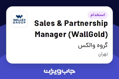  استخدام Sales   Partnership Manager (WallGold) در گروه والکس