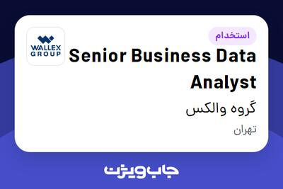  استخدام Senior Business Data Analyst در گروه والکس