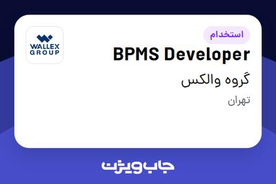  استخدام BPMS Developer در گروه والکس