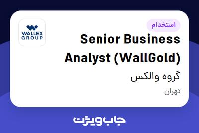  استخدام Senior Business Analyst (WallGold) در گروه والکس