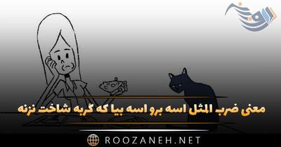  معنی ضرب المثل آسه برو آسه بیا که گربه شاخت نزنه + داستان و انشا