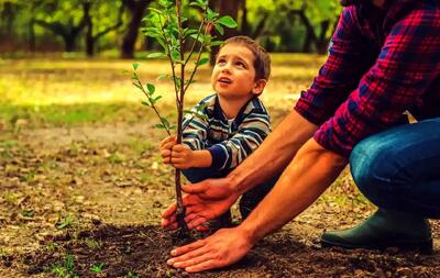  انقلابی در پاییز: ۷ درخت میوه که با کاشت آنها ثروتمند می‌شوید!
