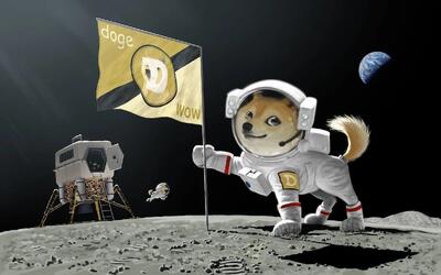  افزایش ۳۵۰ درصدی قیمت DOGE-1 پس از پست ایلان ماسک