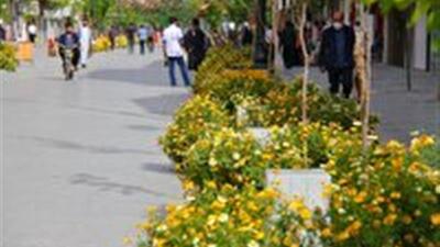 مسائل اطراف حرم مطهر نیازمند ساختار ویژه و تصمیم‌گیری مستقل است