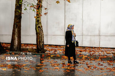  عکس عجیب از پاییزِ تهران به فاصله یک سال!