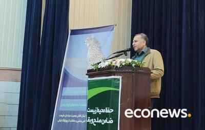  «طرح‌های مدیریتی» کلید نجات یوزپلنگ آسیایی از انقراض - اکونیوز