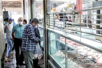  ویدیو| ناگفته‌هایی از پشت پرده گرانی دوباره مرغ و گوشت در بازار