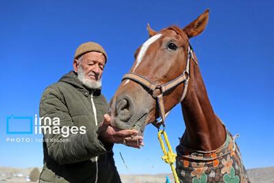  تصاویر؛ کورس اسبدوانی روستای «باغلق»